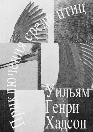 Прыгоды сярод птушак