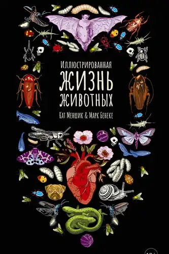 Иллюстрированная жизнь животных